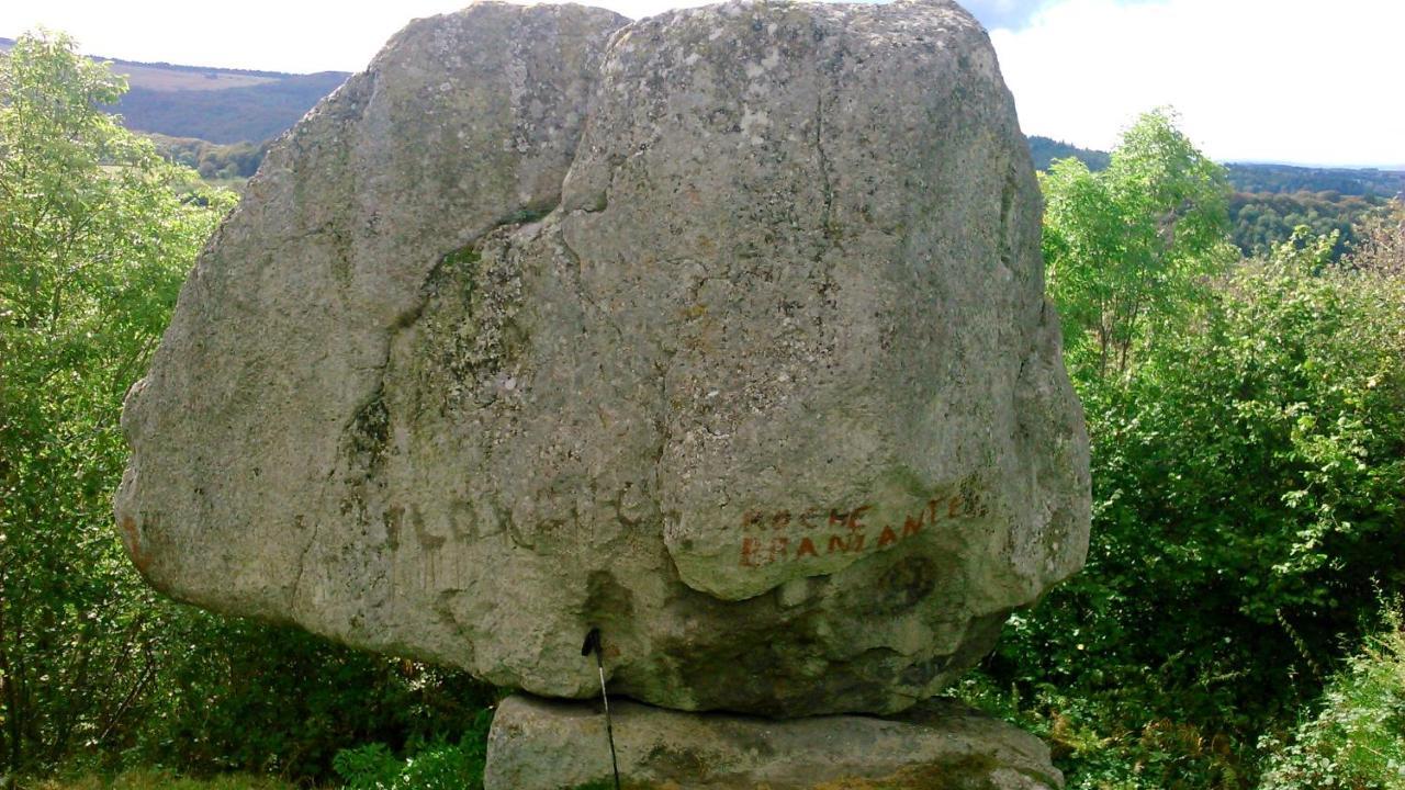 Lilas, Gite Saint Antoine, Orcival, Entre Sancy Et Volcans. Exterior foto