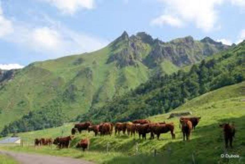 Lilas, Gite Saint Antoine, Orcival, Entre Sancy Et Volcans. Exterior foto